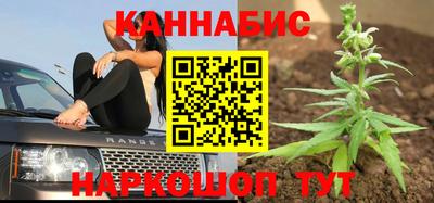 apvp Рузаевка