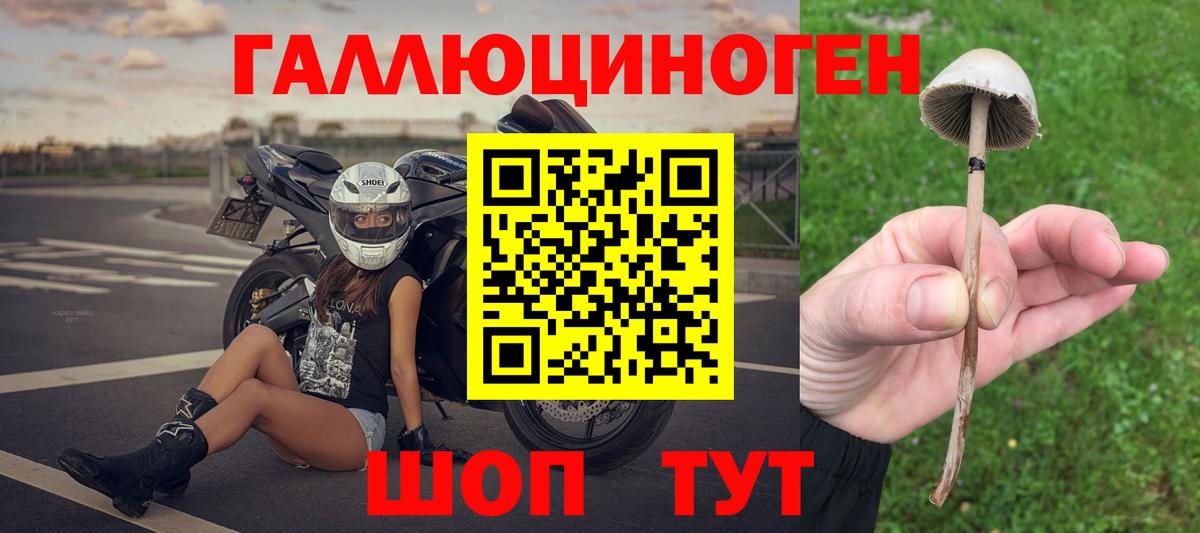 Псилоцибиновые грибы Psilocybine cubensis Набережные Челны